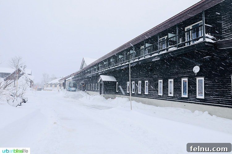 Hotel Jogakura: Experience the Best of Aomori, Japan 7 Hotel Jogakura in Aomori Prefecture Japan
