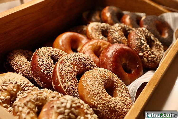 Canopy Portland: Your Pearl District Retreat 25 Various Bagels