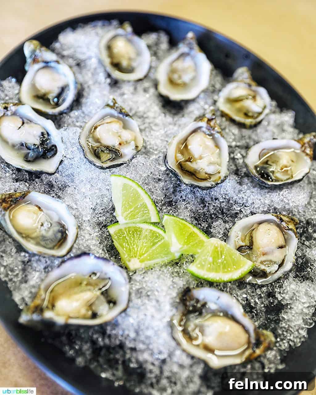 Taste of the Tillamook Coast: Oregon's Seafood Paradise 14 plate of oysters J and Y Oysters Tillamook Oregon