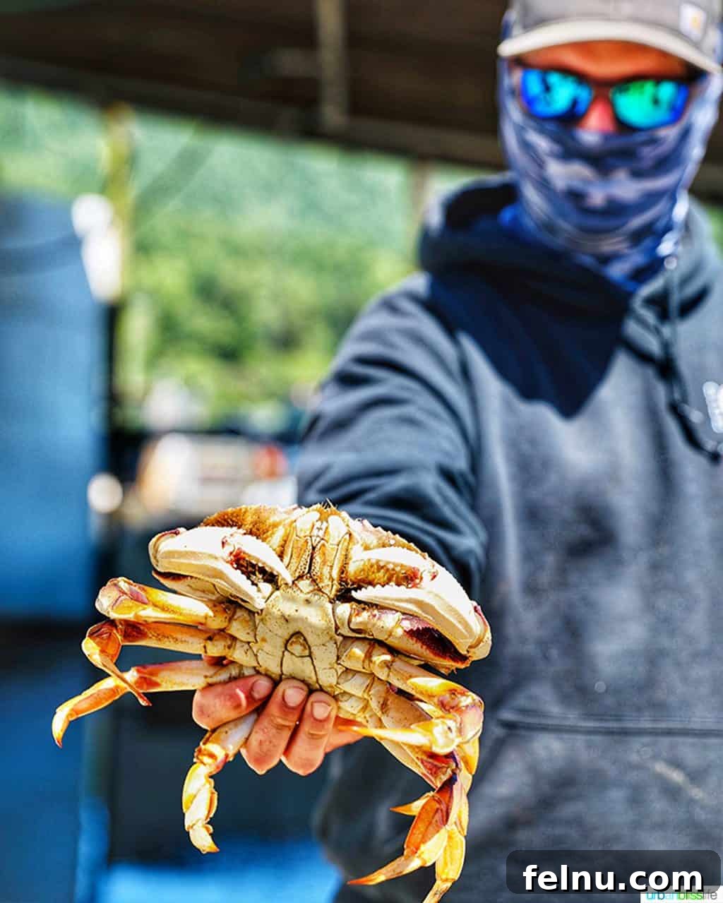 Taste of the Tillamook Coast: Oregon's Seafood Paradise 5 Fishpeople Seafood crab