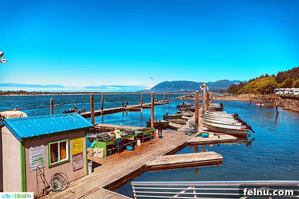 Taste of the Tillamook Coast: Oregon's Seafood Paradise 6 docks at Kelly's Brighton Marina in Rockaway, Oregon