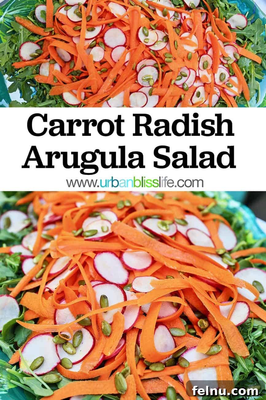 Zesty Radish Carrot Slaw 8 Radish Carrot Salad, a perfect recipe to pin on Pinterest.