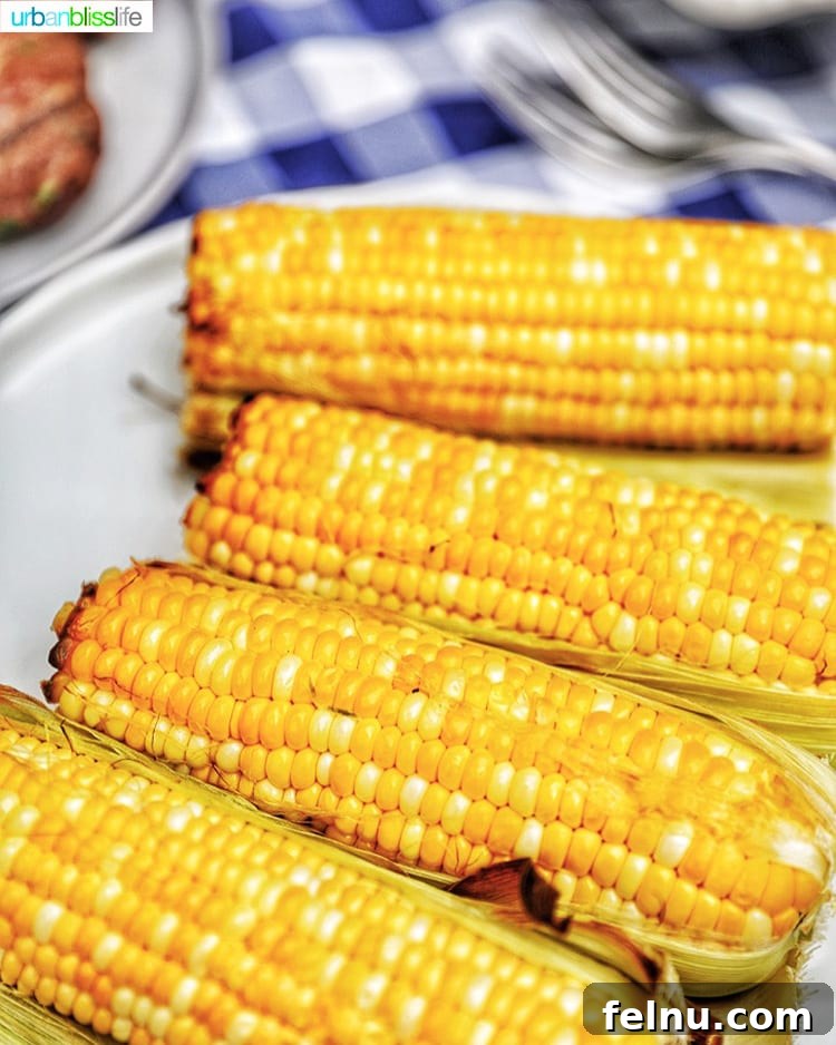 Sun-Kissed Slaw: Peaches, Corn & Tomatoes 3 Fresh corn on the cob, ready to be prepared for a summer dish.