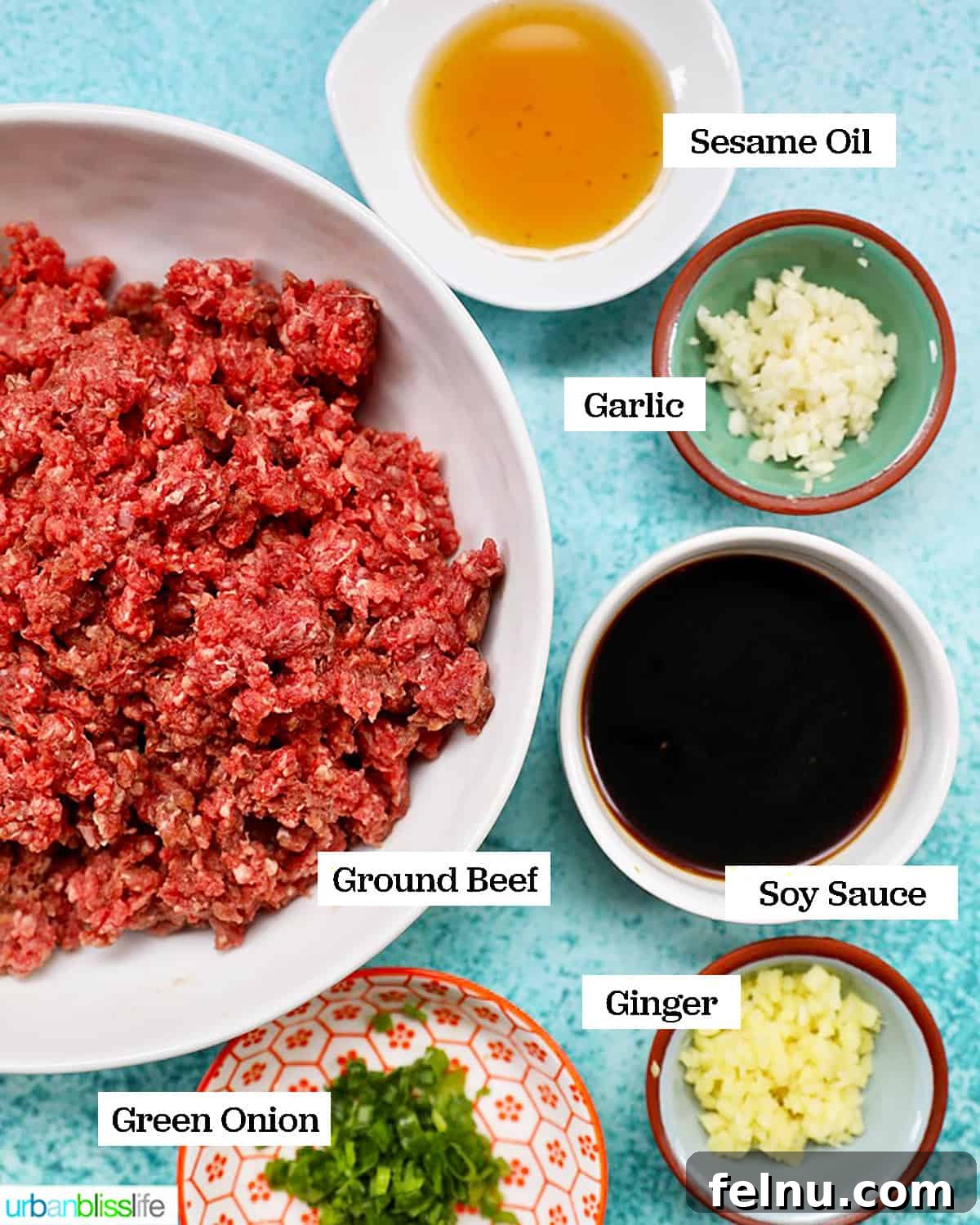 All the necessary ingredients for making Asian burgers: ground beef, soy sauce, sesame oil, garlic, ginger, and green onions.