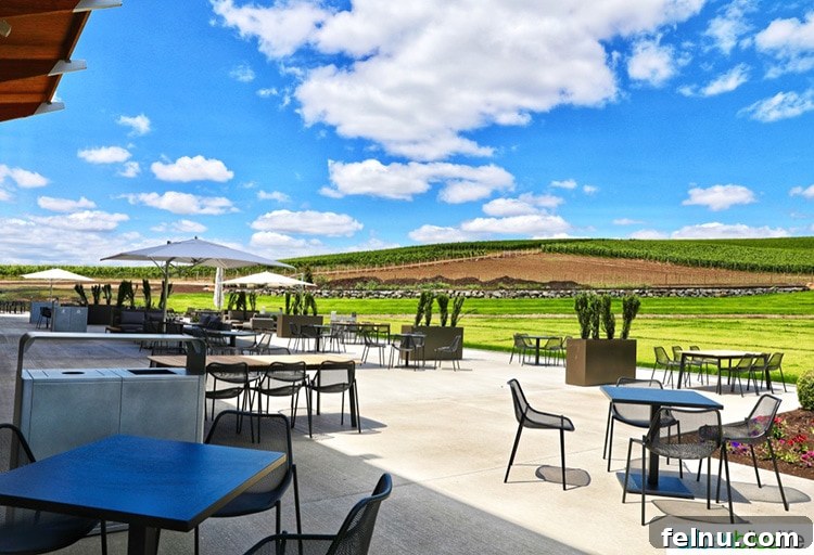 Future of Flavor: Stoller's High-Tech Tasting Center 9 outside patio of new Stoller winery experience center