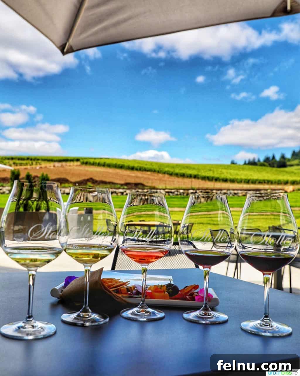 Future of Flavor: Stoller's High-Tech Tasting Center 10 wine flight against a backdrop of vineyards at Stoller