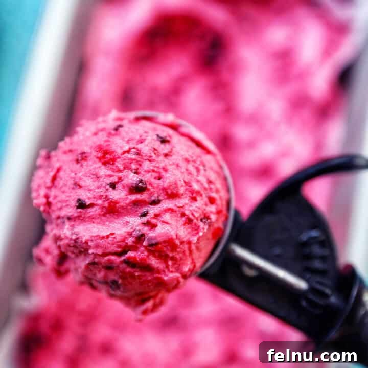 Dairy Free Mixed Berry Ice Cream