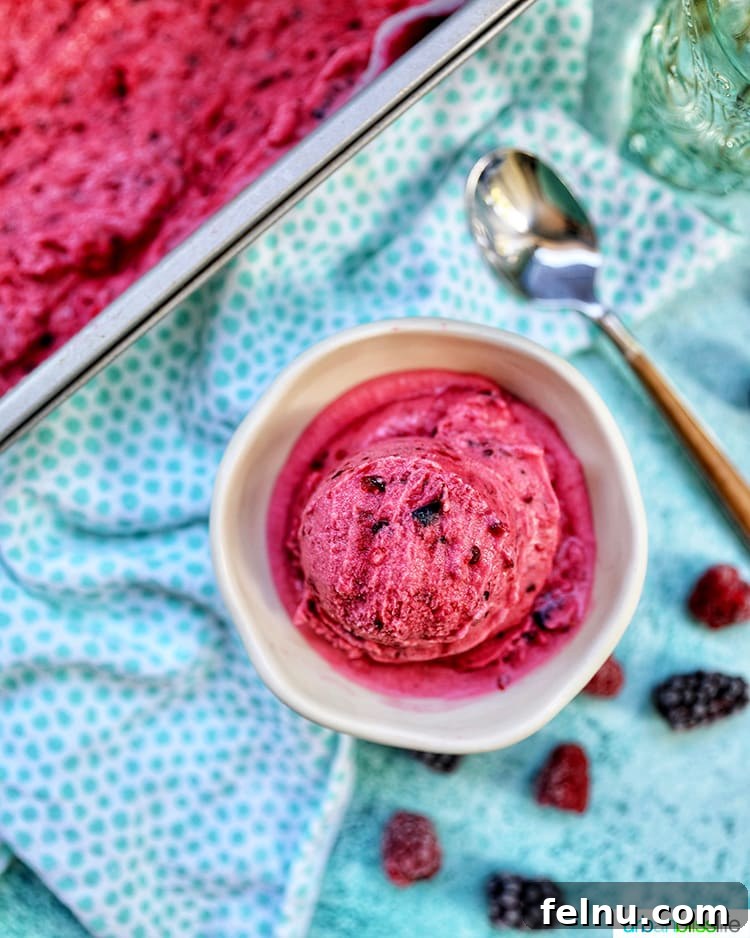 Dairy Free Mixed Berry Bliss 3 Ingredients for Dairy-Free Mixed Berry Ice Cream