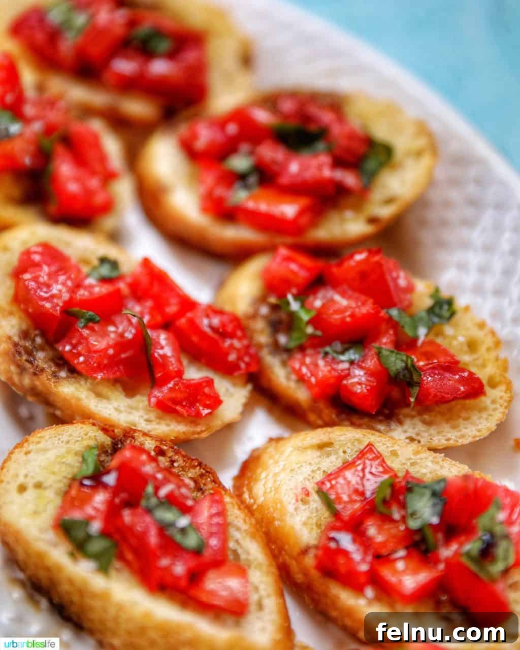 Vine-Ripened Tomato Bruschetta with Balsamic Glaze 7 A close-up shot of a plate filled with delicious tomato bruschetta with balsamic vinegar.