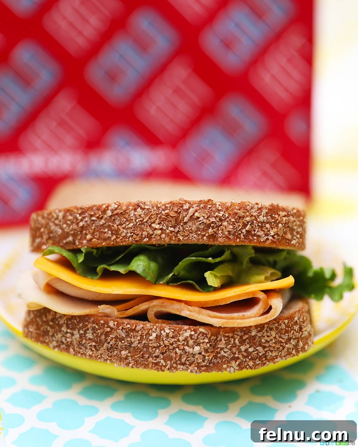 Creative and Nutritious Lunchbox Inspirations 4 Close-up of a turkey and cheese sandwich.