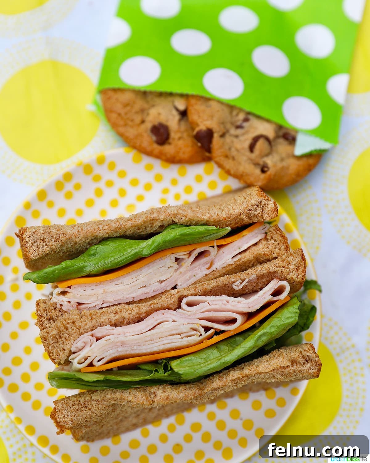 Creative and Nutritious Lunchbox Inspirations 5 Turkey and cheese sandwich with a chocolate chip cookie.