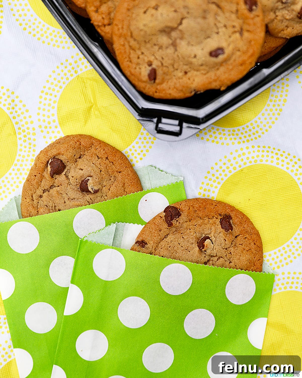 Creative and Nutritious Lunchbox Inspirations 6 Chocolate chip cookies in colorful paper sleeves.