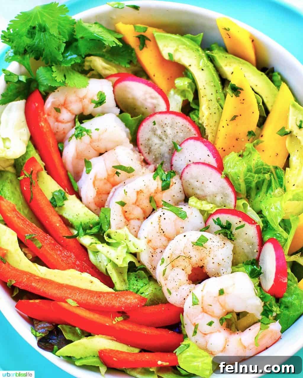 Beat the Heat Dinners 13 Bowl of keto Whole30 healthy shrimp salad, vibrant and flavorful.