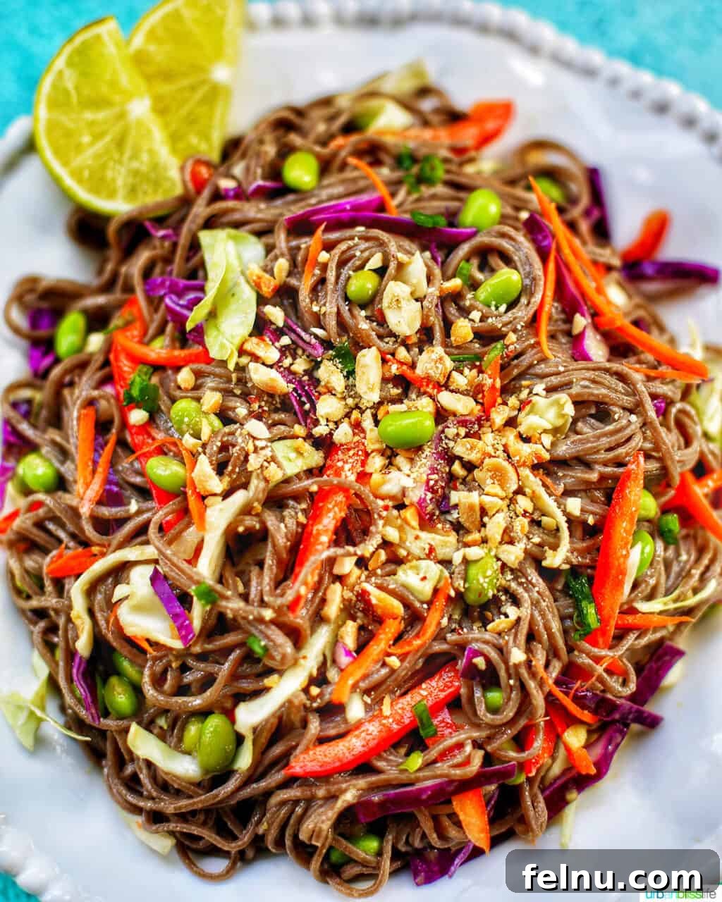 Beat the Heat Dinners 15 Soba Noodles with vegetables and peanuts on a white plate, a quick and healthy vegetarian option.