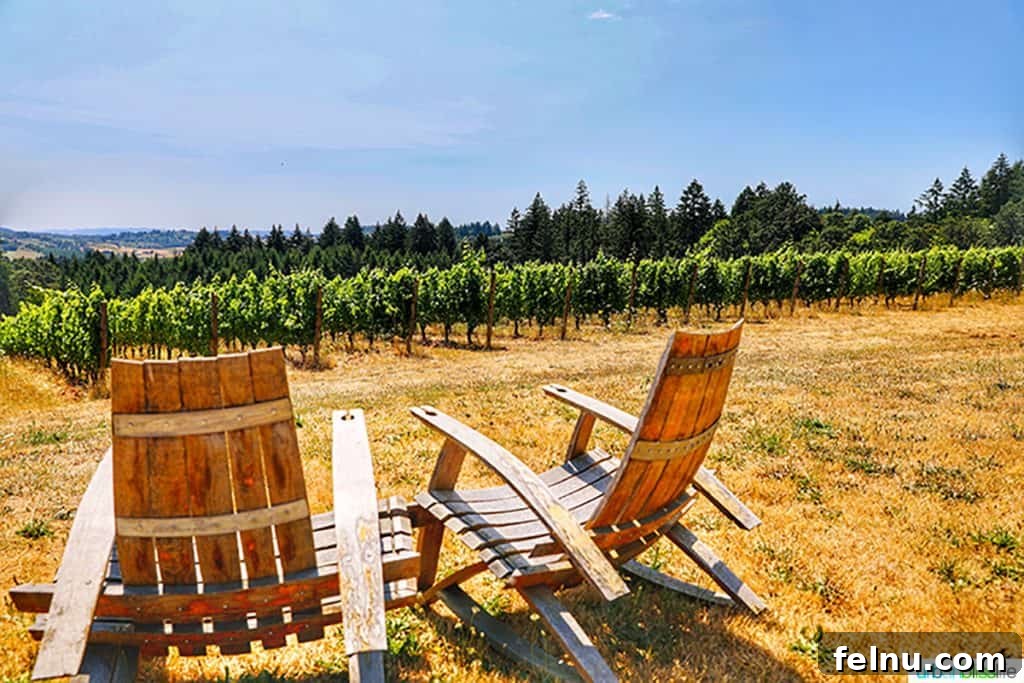 The Elysian Vineyard 2 Adirondack chairs at Utopia Vineyard offer stunning views of the lush Willamette Valley vineyards, inviting relaxation.