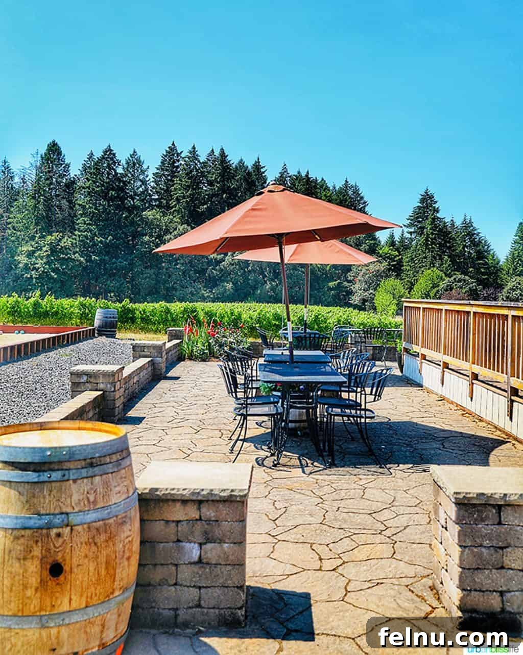 The Elysian Vineyard 4 Elegant patio tables at Utopia Vineyard, perfectly set for an intimate wine tasting experience with vineyard views.