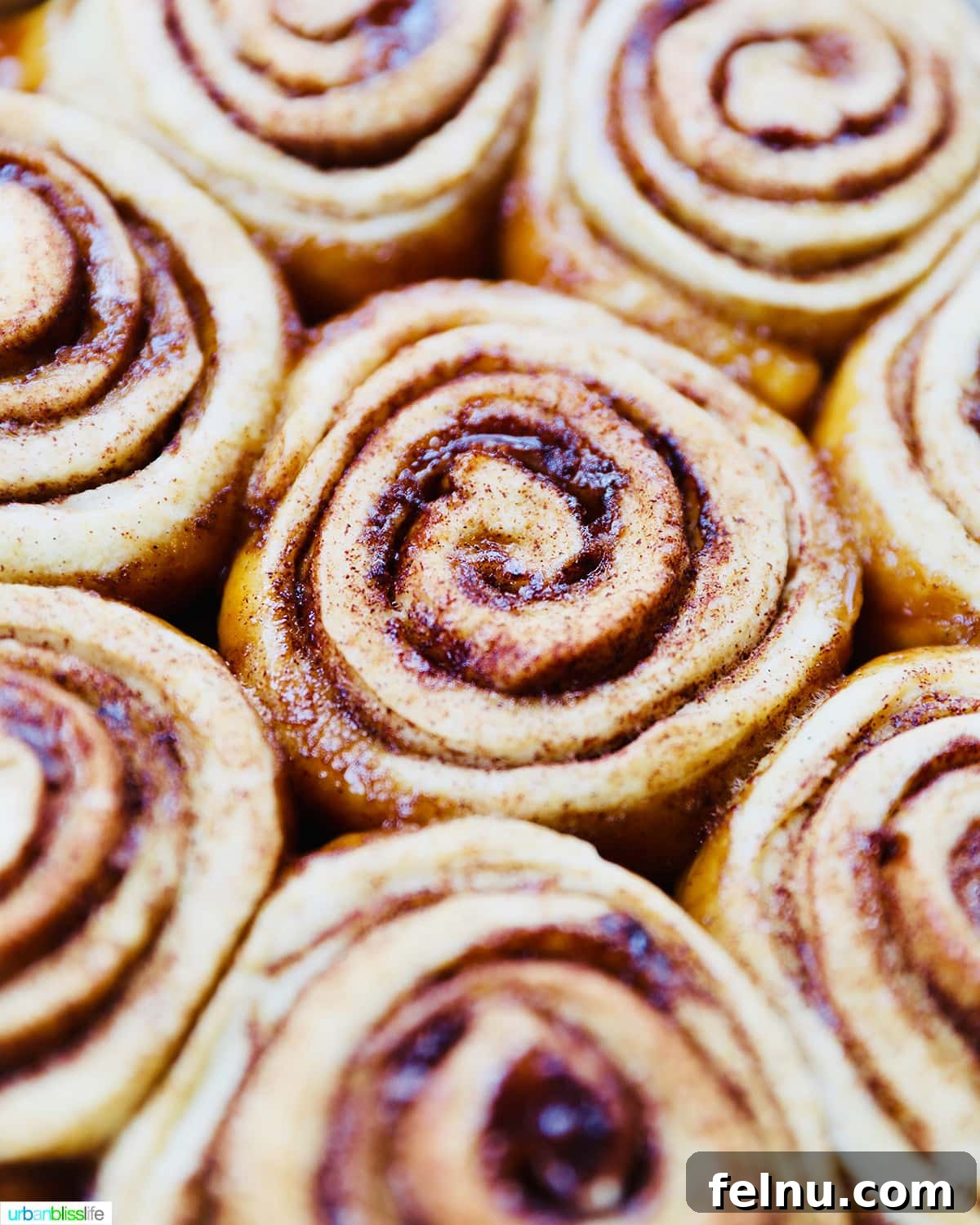 Overnight Orange Spice Rolls 3 A captivating close-up of golden-brown, freshly baked orange cinnamon rolls, presented without icing, showcasing their tempting texture.