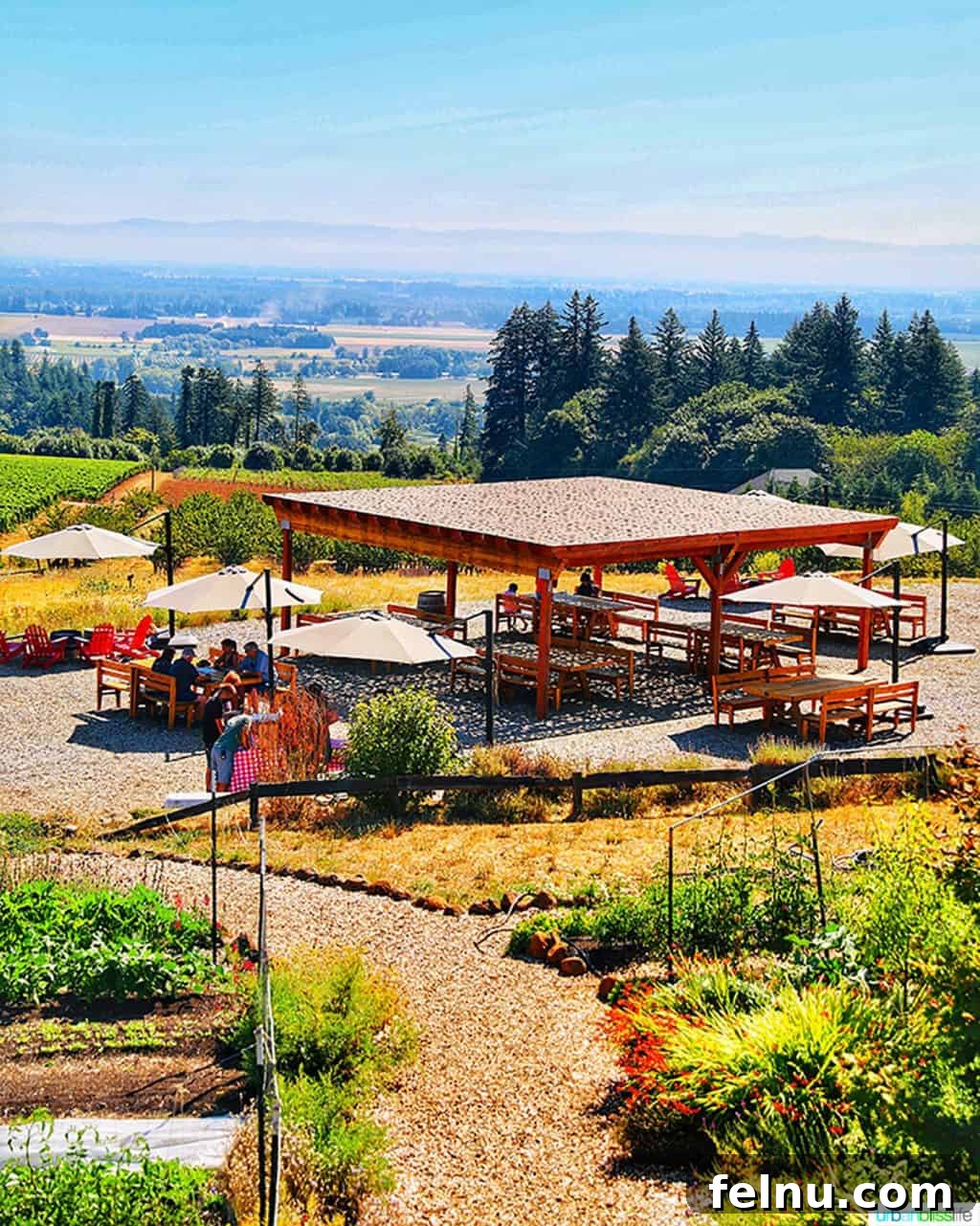 Glamping in Wine Country: Vintages Trailer Resort in Oregon's Willamette Valley 21 A serene covered seating area at Brooks Winery, offering beautiful views and a perfect spot for social distance wine tasting amidst the vineyards.