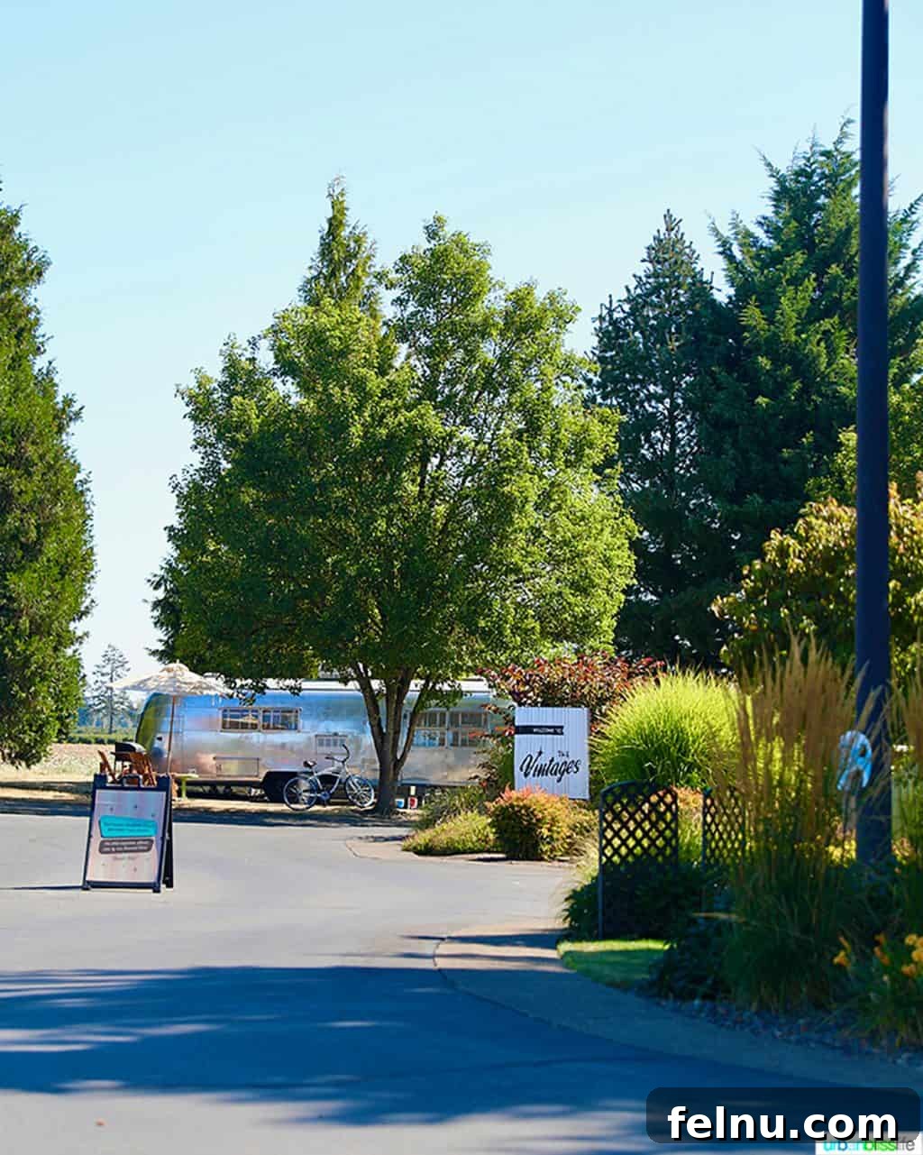 Glamping in Wine Country: Vintages Trailer Resort in Oregon's Willamette Valley 4 A charming street at Vintages Trailer Resort, lined with unique vintage trailers and lush greenery, inviting guests to explore the whimsical neighborhood.