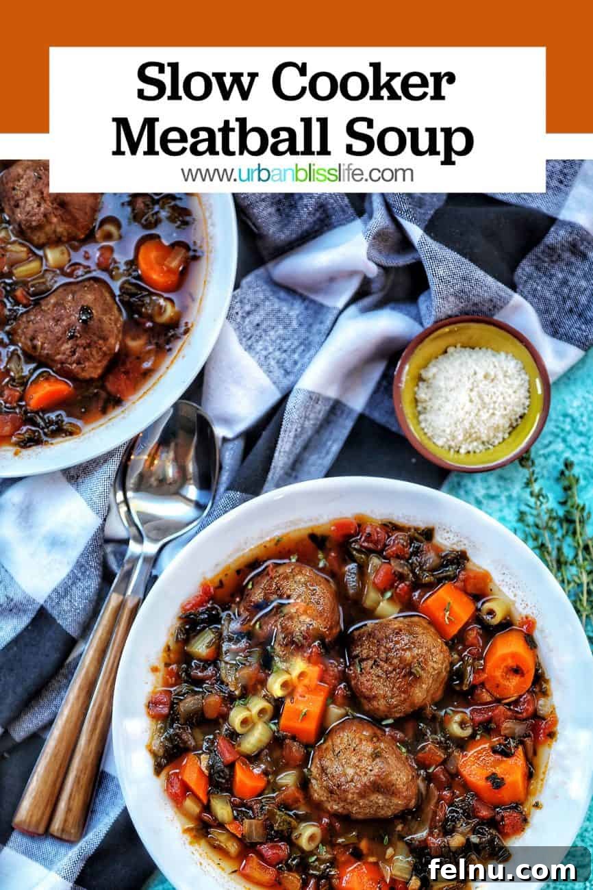 Hearty Slow Cooker Meatball Soup 9 Two bowls of inviting slow cooker meatball soup, rich with ingredients, with title text overlay for Pinterest.
