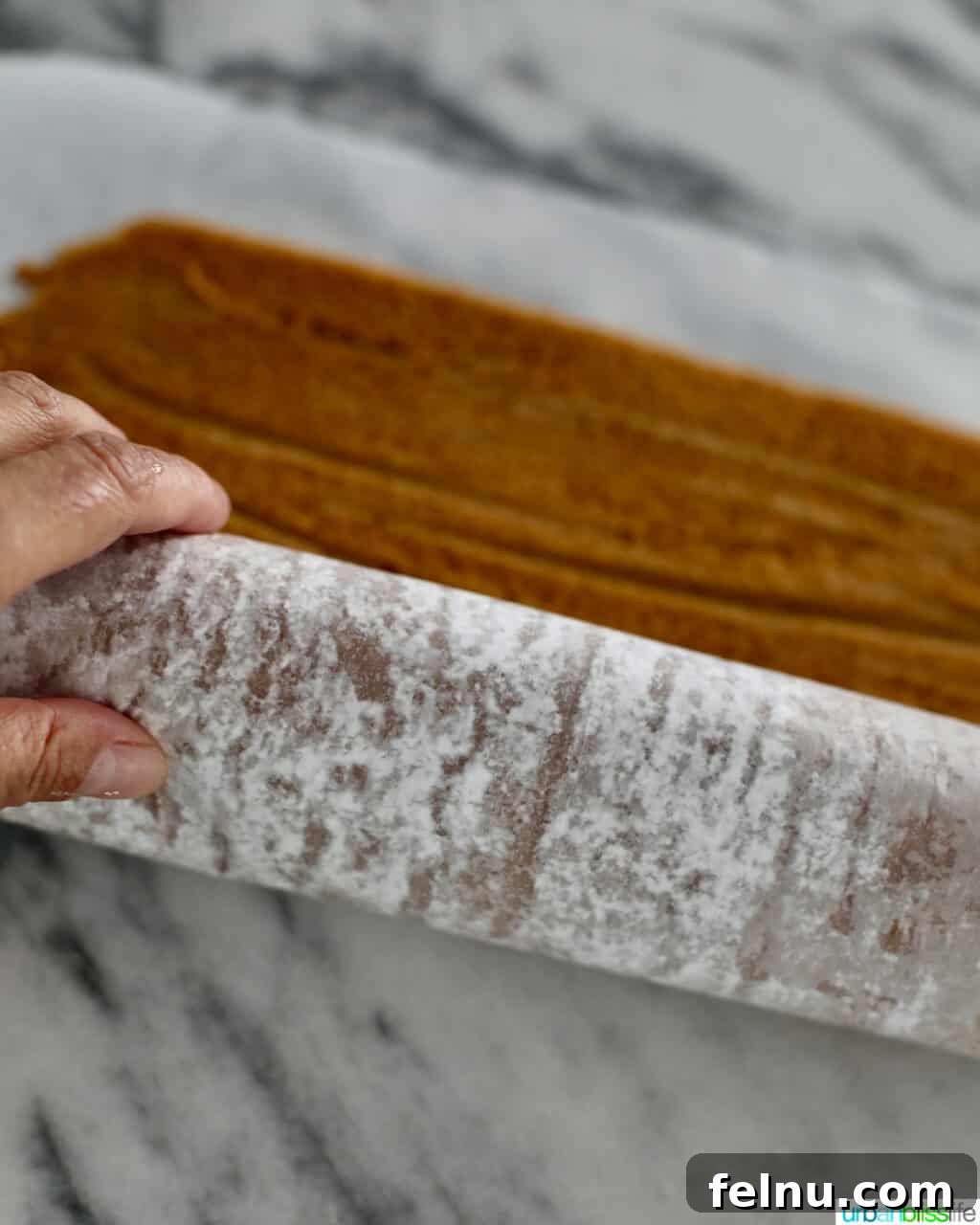 Pumpkin Cream Cheese Swirl Log 10 Rolling the Pumpkin Cake