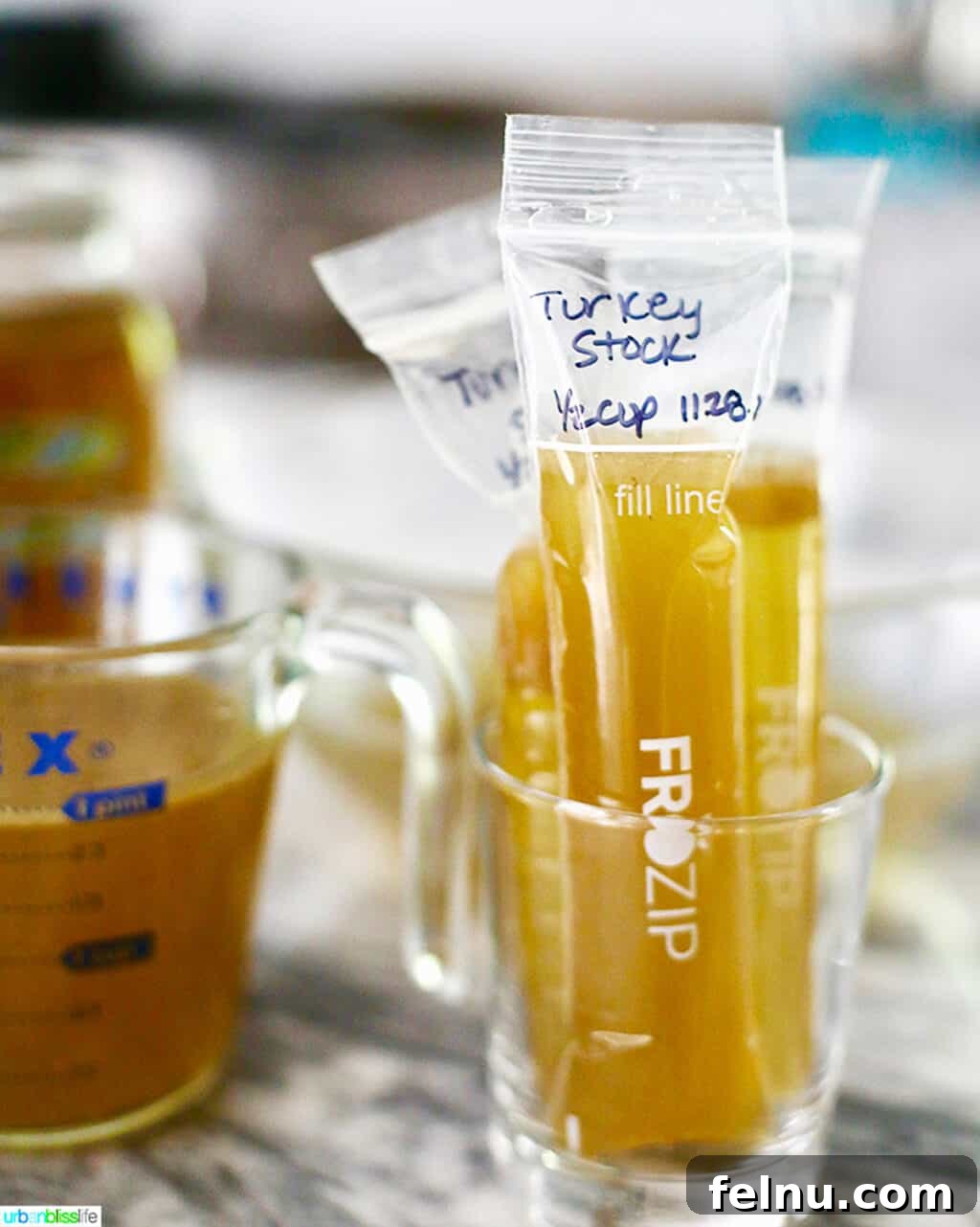 Homemade Turkey Stock frozen in freezer pop bags