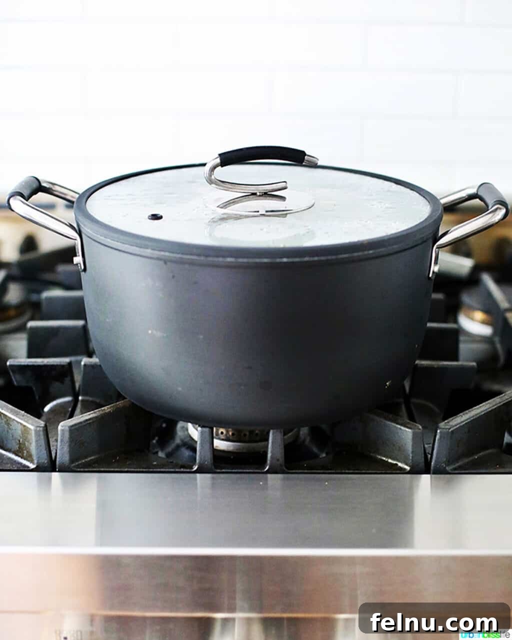 DaTerra Cucina 8Quart stockpot with ingredients