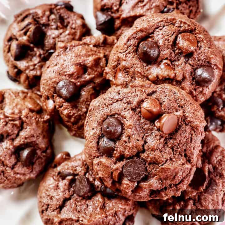Chocolate Cake Mix Cookies 12 Chocolate Cake Mix Cookies