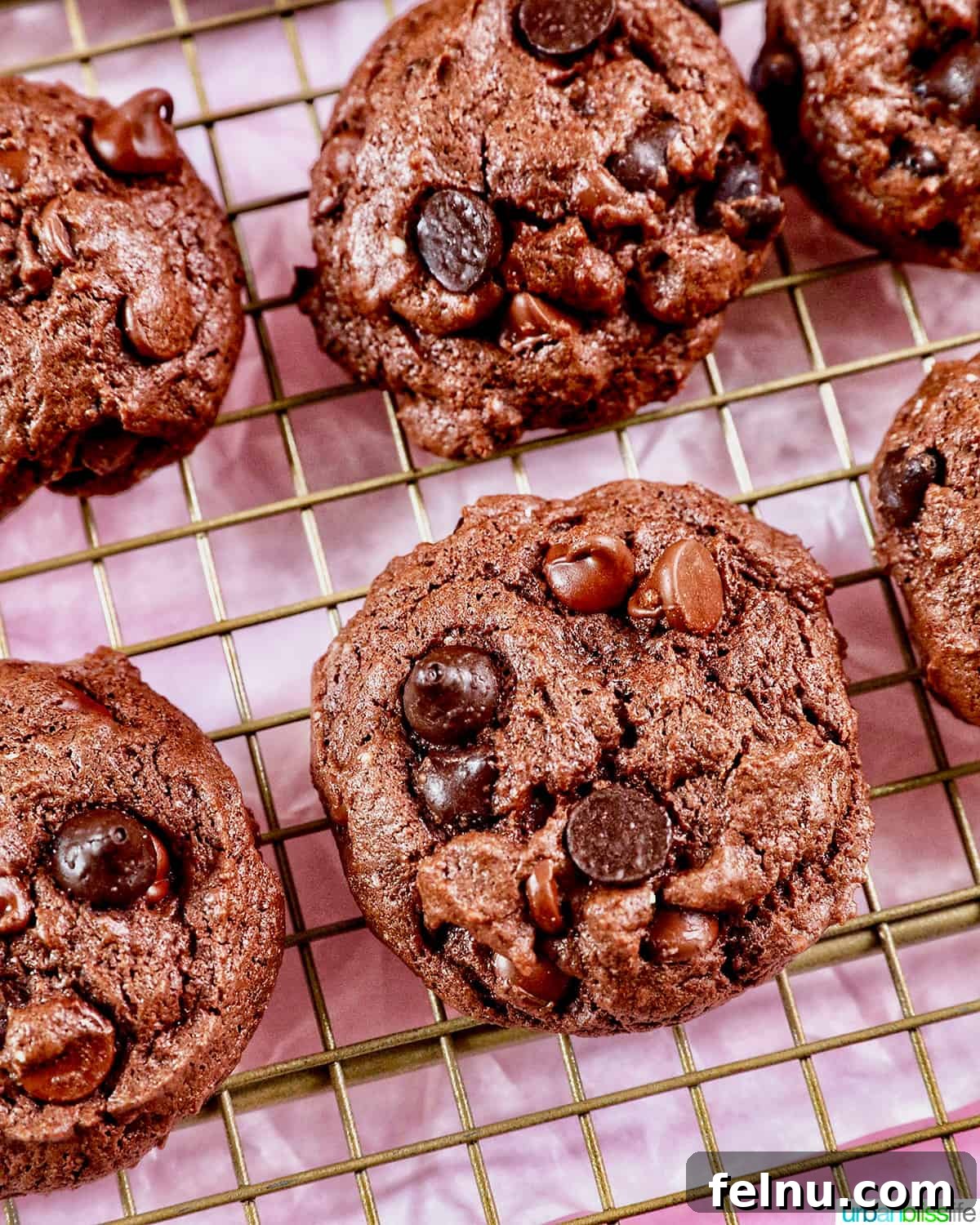Chocolate Cake Mix Cookies 3 Freshly baked chocolate cake mix cookies cooling on a rack.