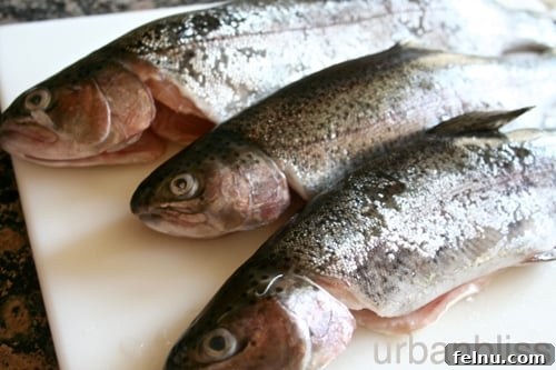 Whole Trout Meuniere Preparation Freshly cleaned trout ready for cooking, showcasing its pristine state for Trout Meuniere preparation by Urban Bliss