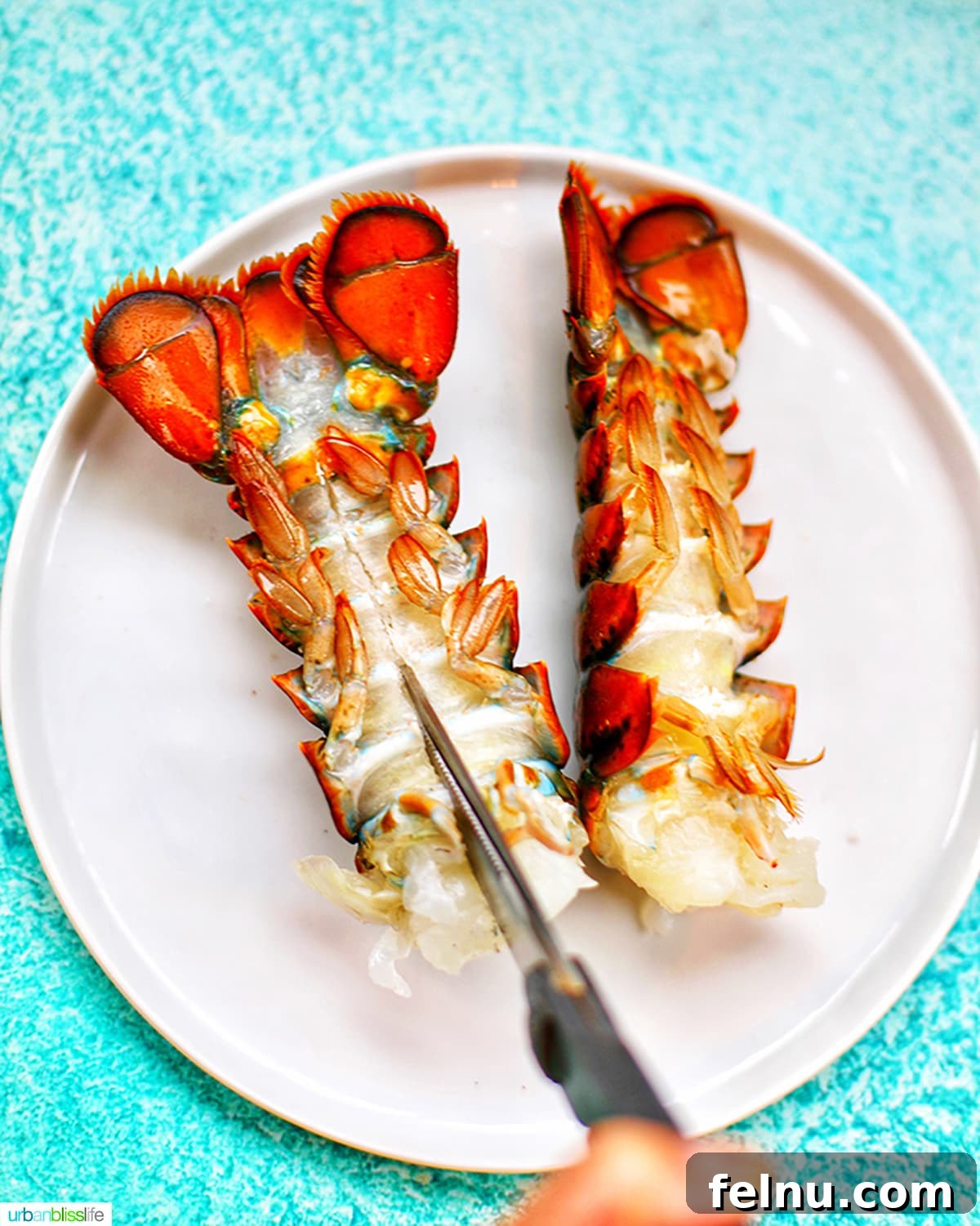 Air Fryer Lobster Tails
Air Fryer Lobster Delight 4 Cutting lobster tails on a white plate