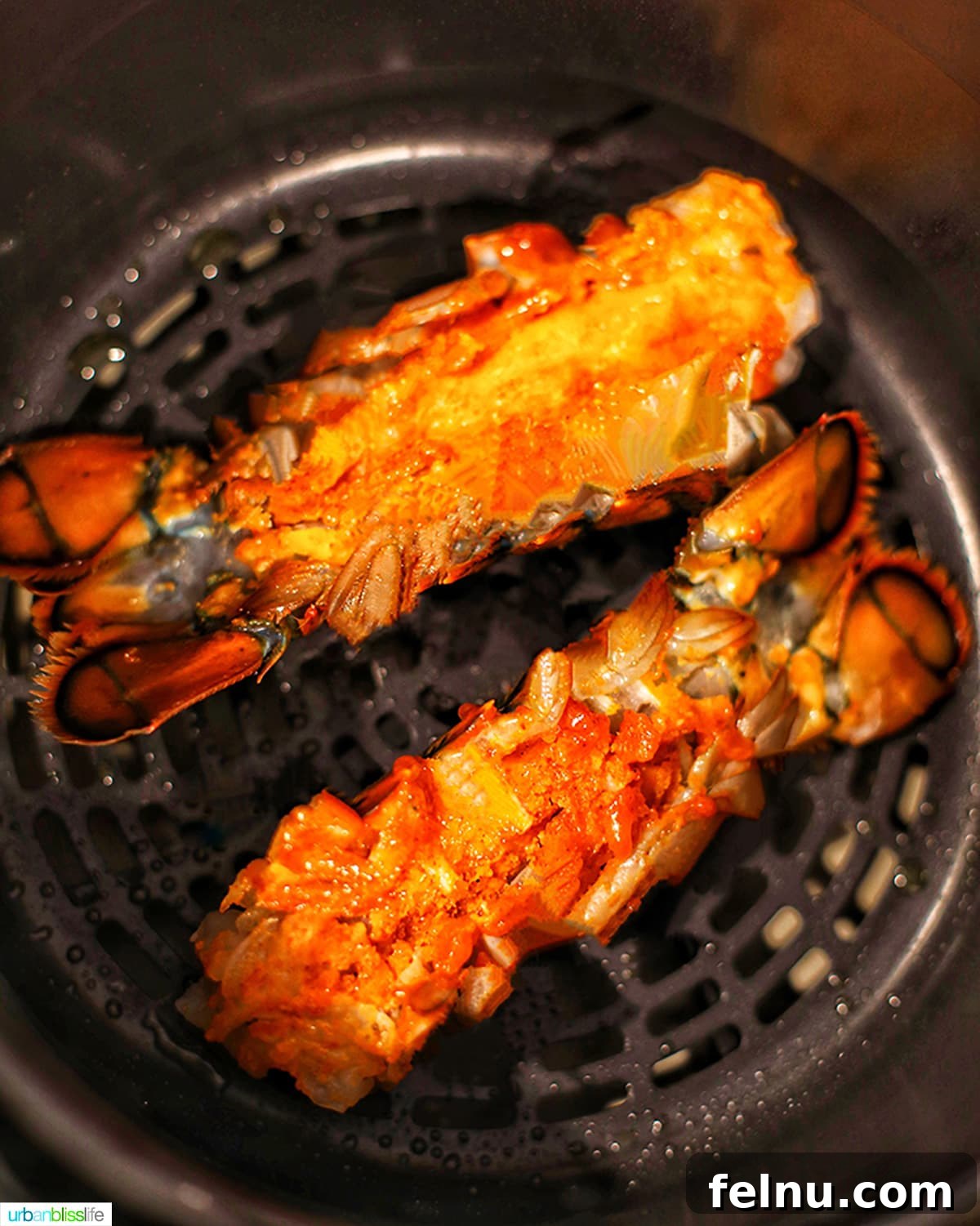 Air Fryer Lobster Tails
Air Fryer Lobster Delight 5 Lobster tails arranged in the air fryer basket