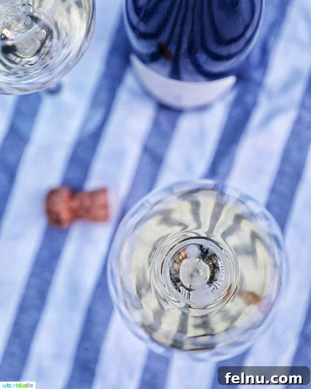 Perfect Wines for Valentines Day 3 champagne in glass with cork and bottle