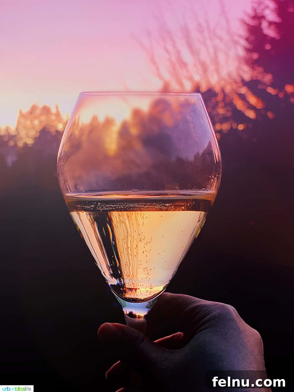 Perfect Wines for Valentines Day 4 Champagne glass against sunset