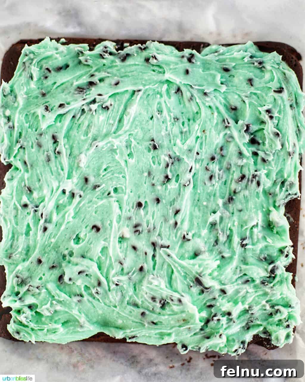 Mint Chocolate Decadence Brownies 13 Mint chocolate chip frosting on brownies