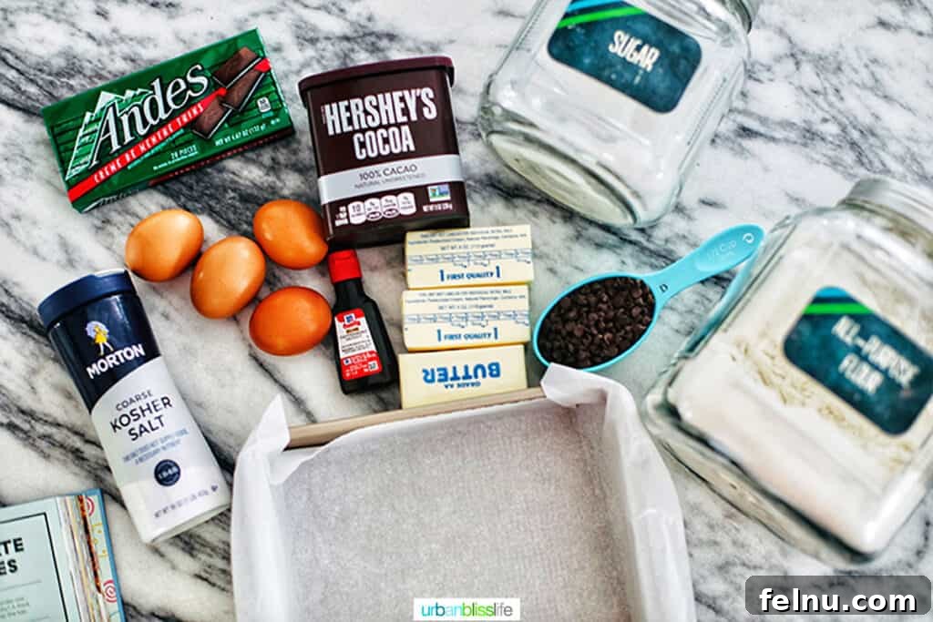 Mint Chocolate Decadence Brownies 5 Ingredients for Mint Chocolate Chip Brownies