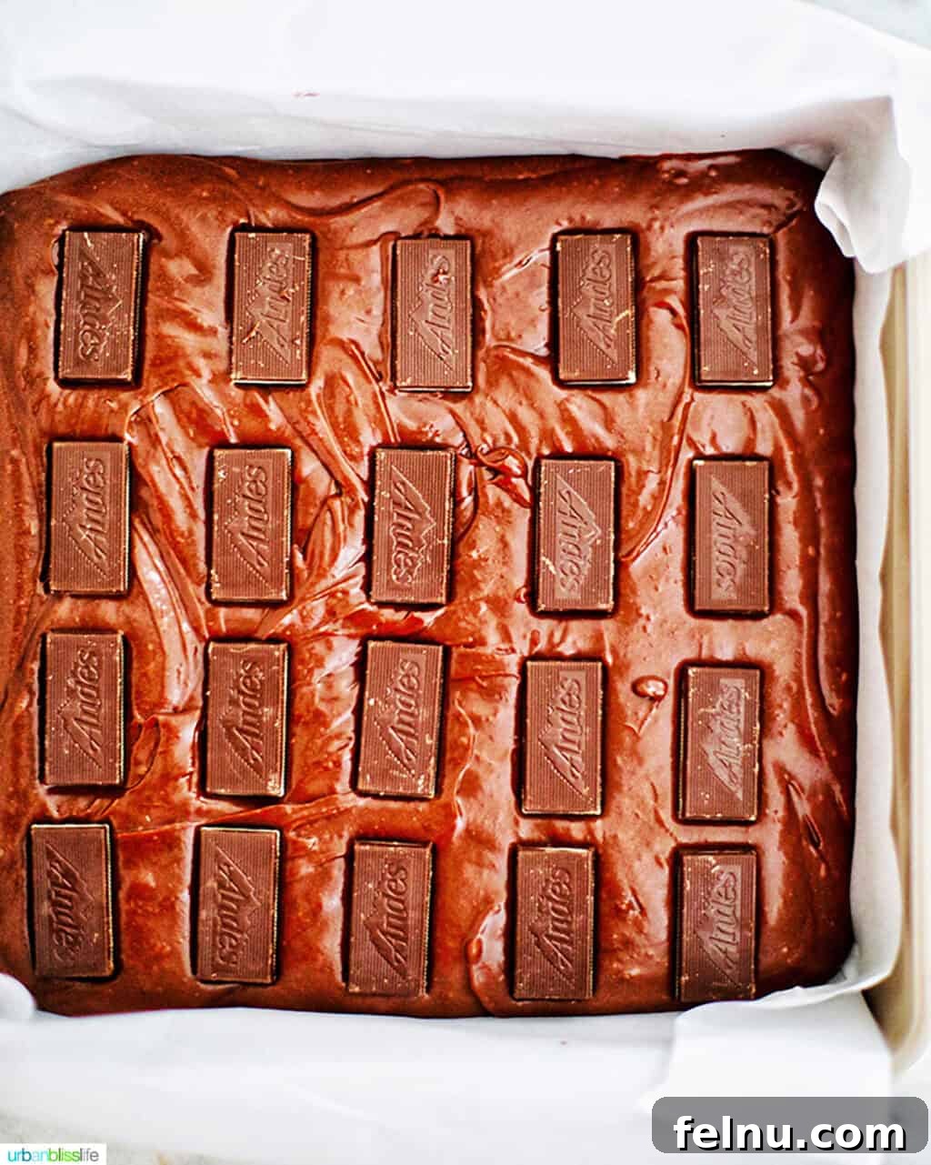 Mint Chocolate Decadence Brownies 10 Andes mints in brownie batter