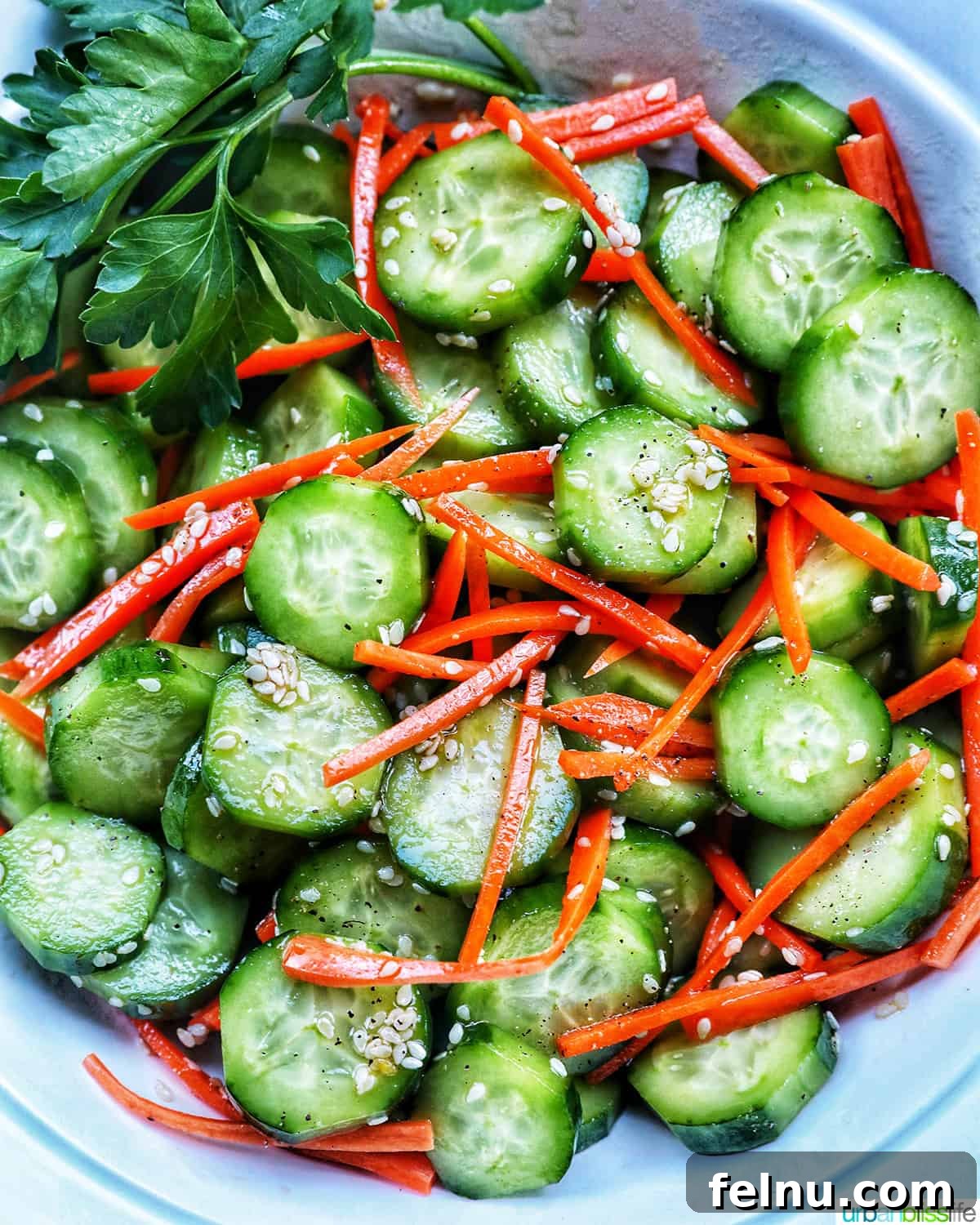 Spicy Lime Shrimp Glass Noodle Bowl 6 salad bowl full of sliced cucumbers, carrots, and sesame seeds, a fresh side dish
