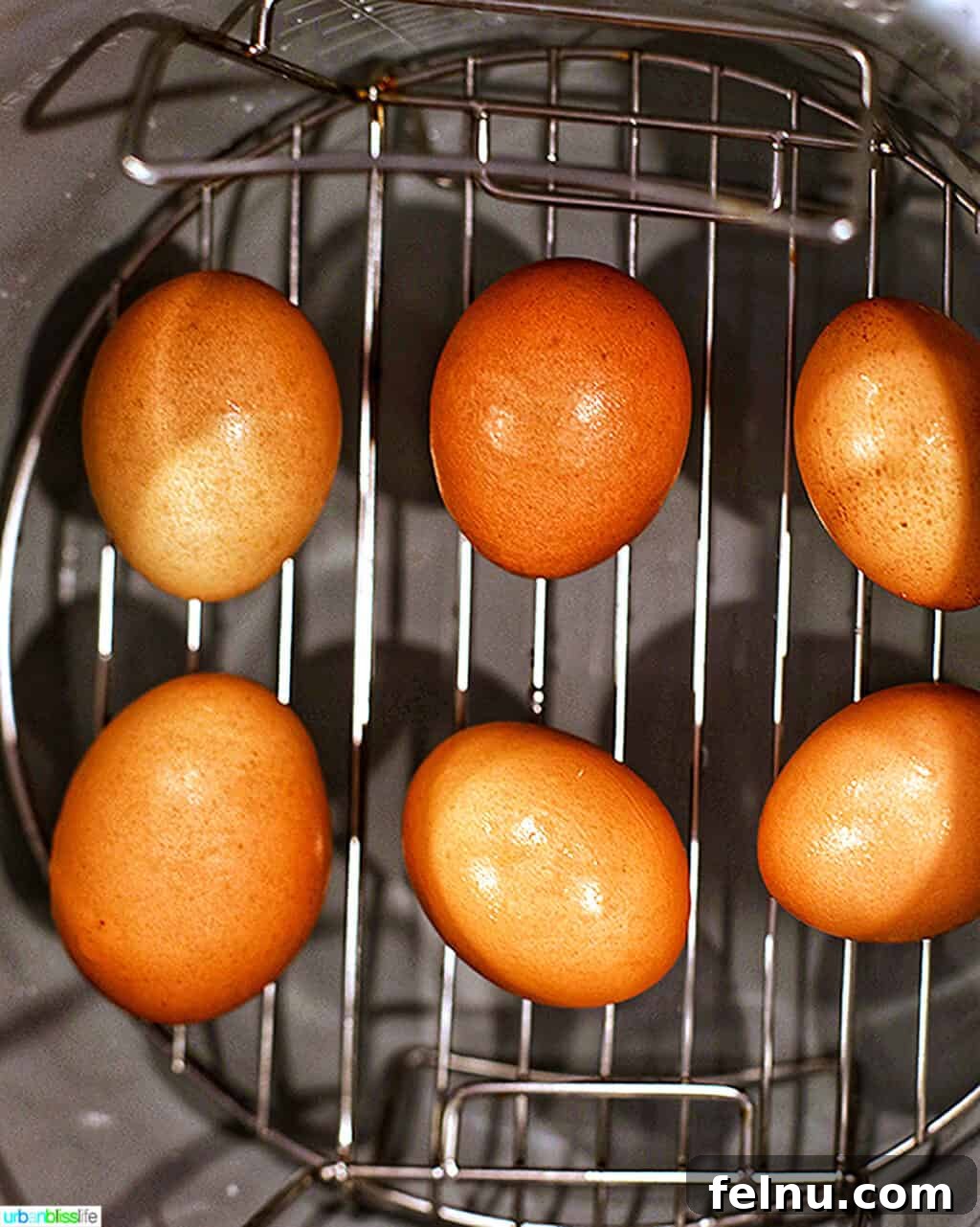 Perfect Hard Boiled Eggs with Ninja Foodi 4 Raw eggs carefully placed on a steamer rack inside the Ninja Foodi pot