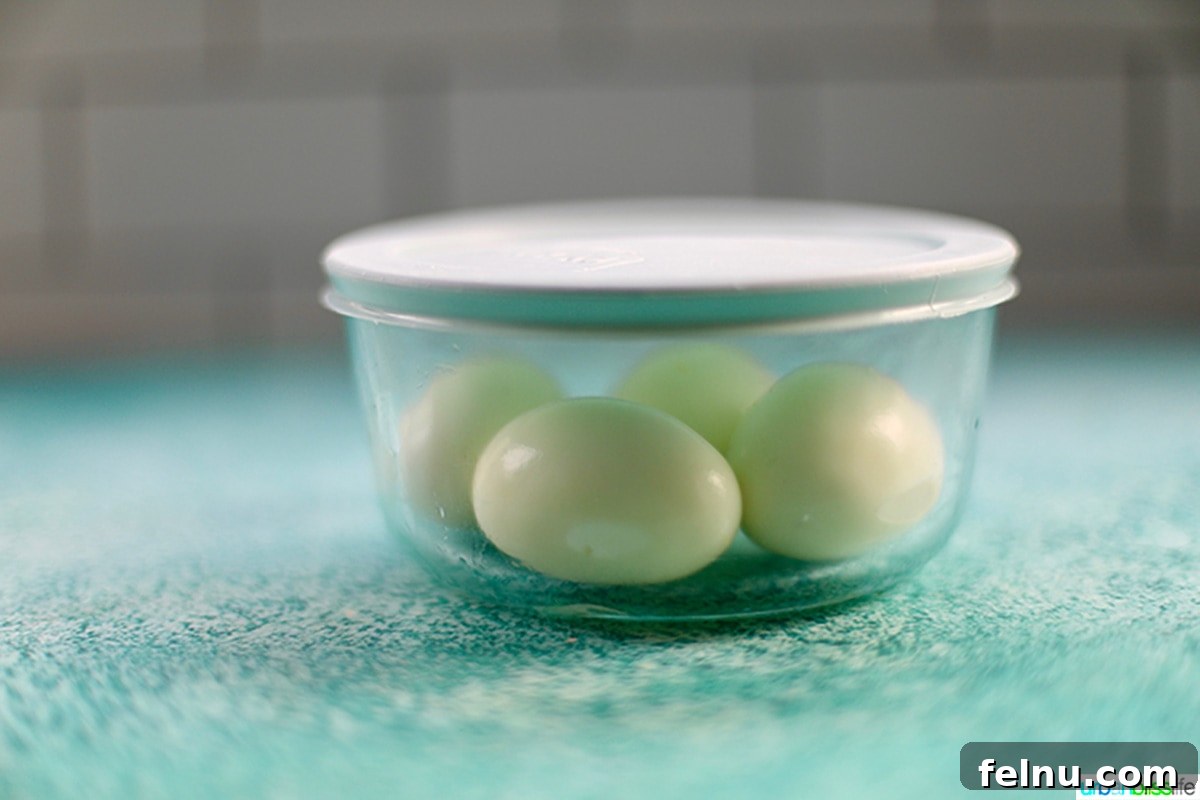 eggs in a storage container