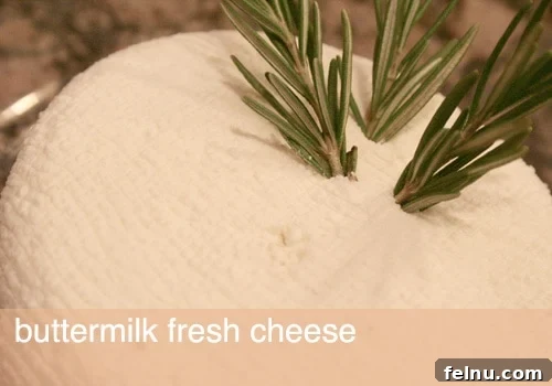 Simple homemade cheese