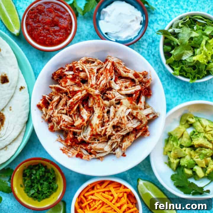 salsa chicken in a bowl surrounded by veggies.