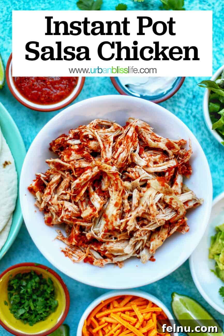 Easy Instant Pot Salsa Chicken 10 Instant Pot Salsa Chicken with text for Pinterest