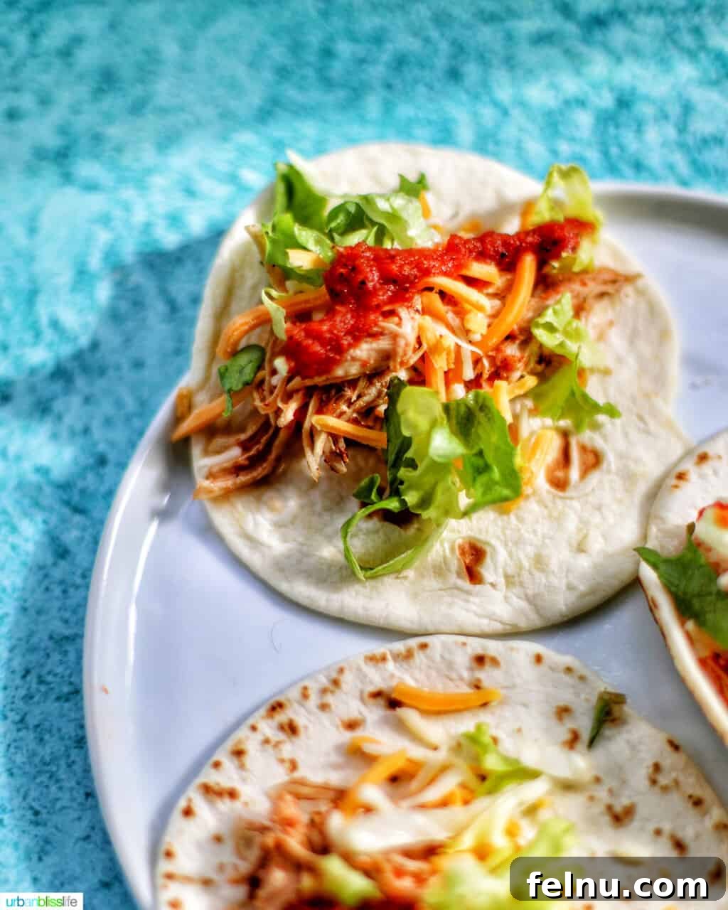 Easy Instant Pot Salsa Chicken 7 Instant Pot Salsa Chicken tacos