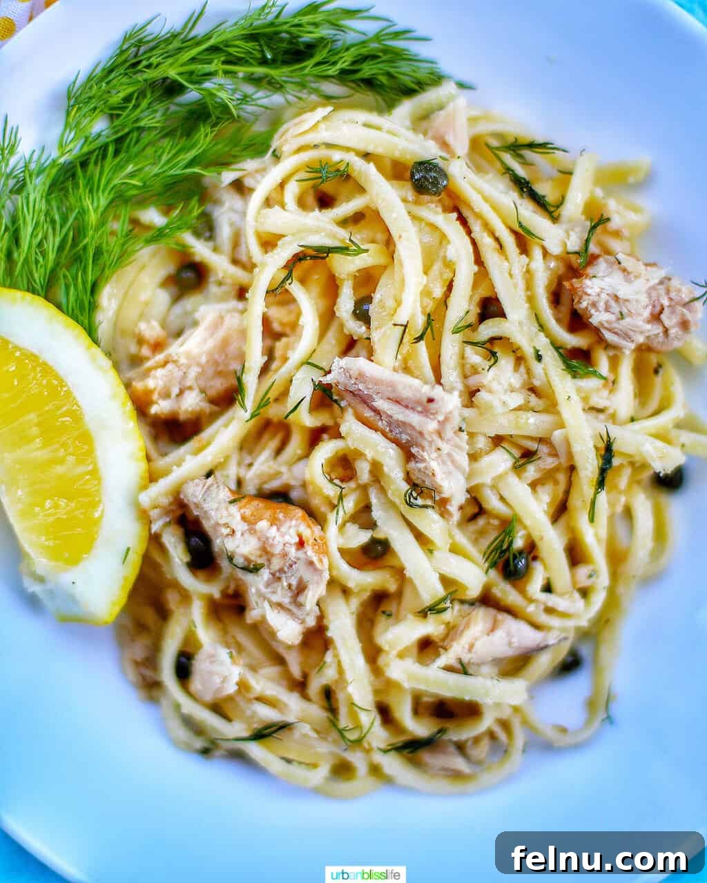 Tuna Pasta in Creamy Caper White Wine Sauce 2 Delicious Tuna Pasta with Capers and White Wine Sauce