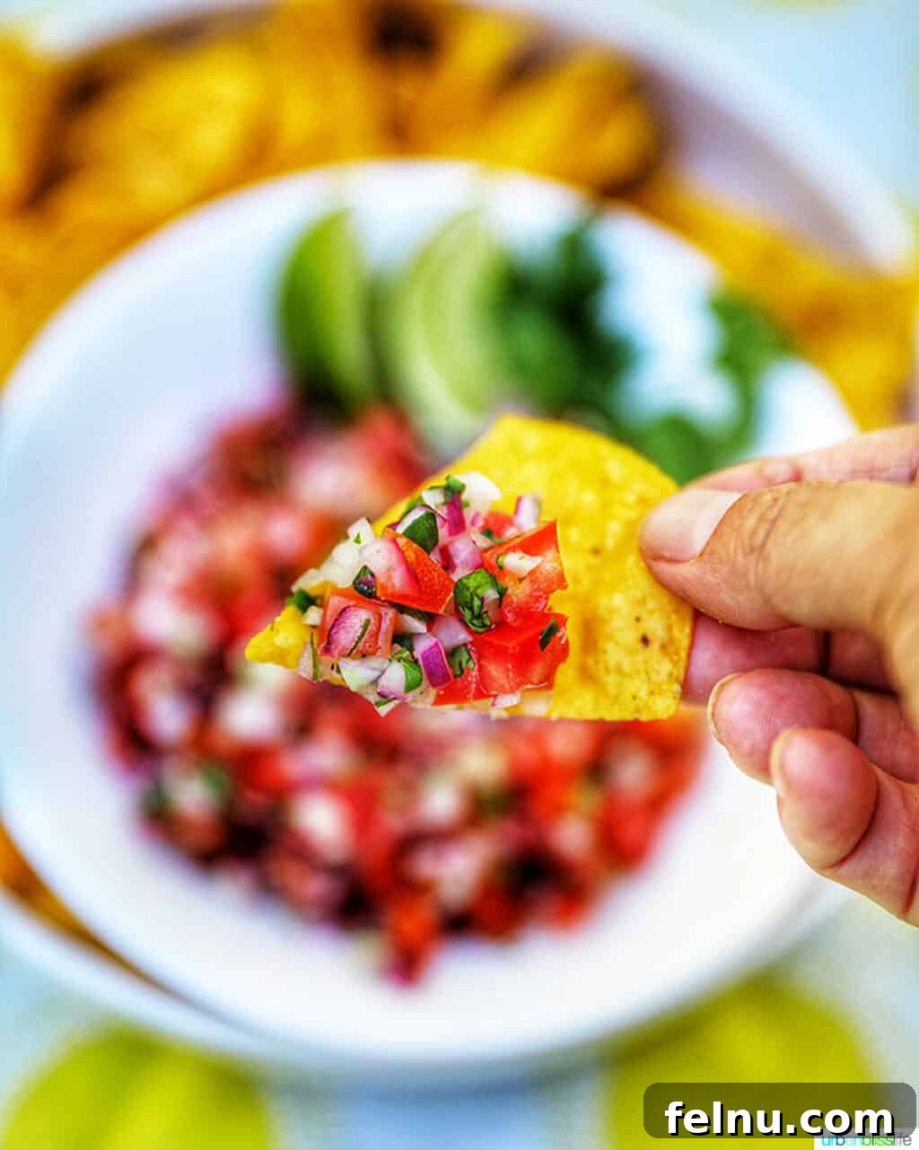 A single tortilla chip loaded with pico de gallo