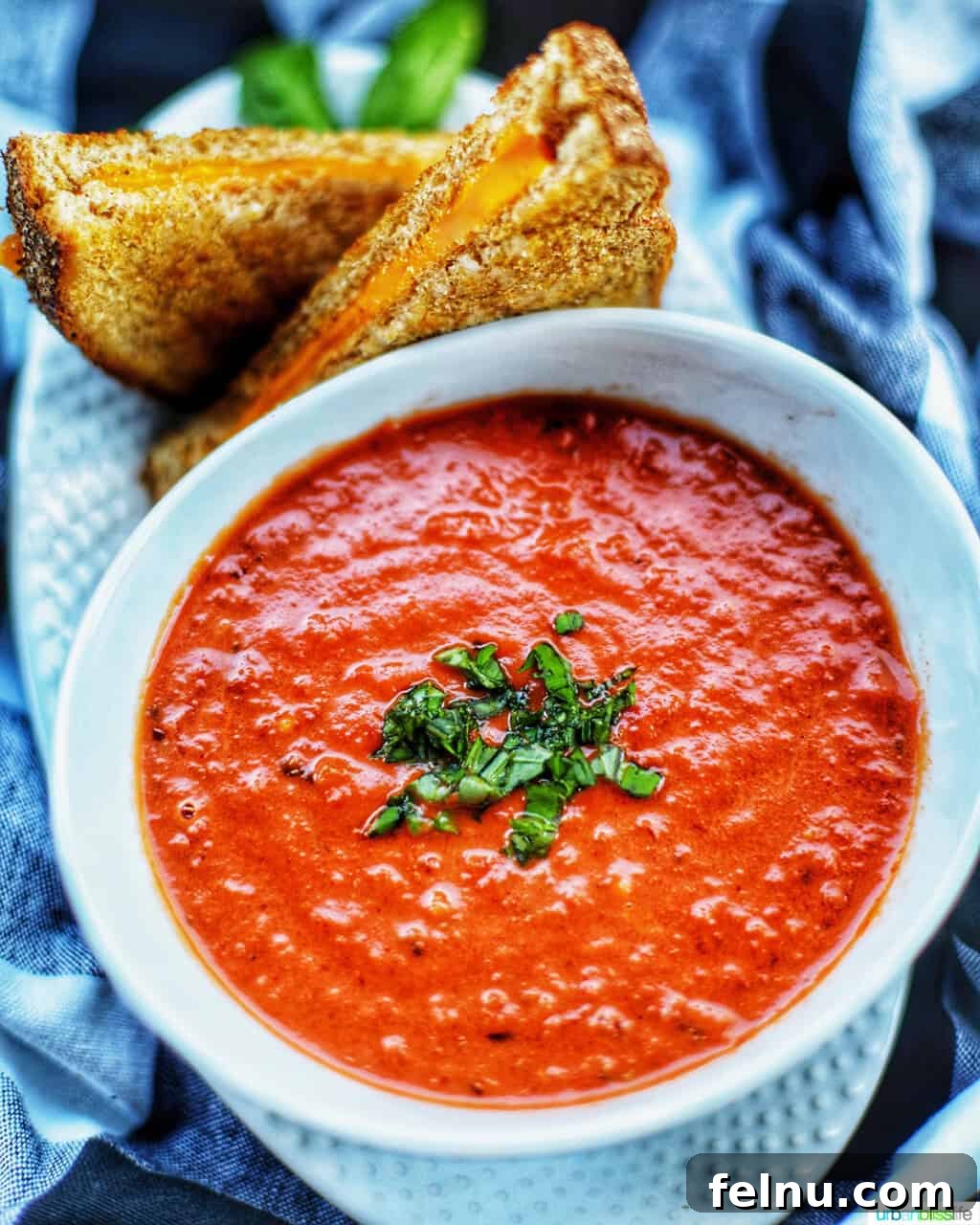 Mastering Ninja Foodi Pressure Cooker Meal Prep Cookbook 12 Classic tomato soup and grilled cheese, a perfect comfort food pairing.