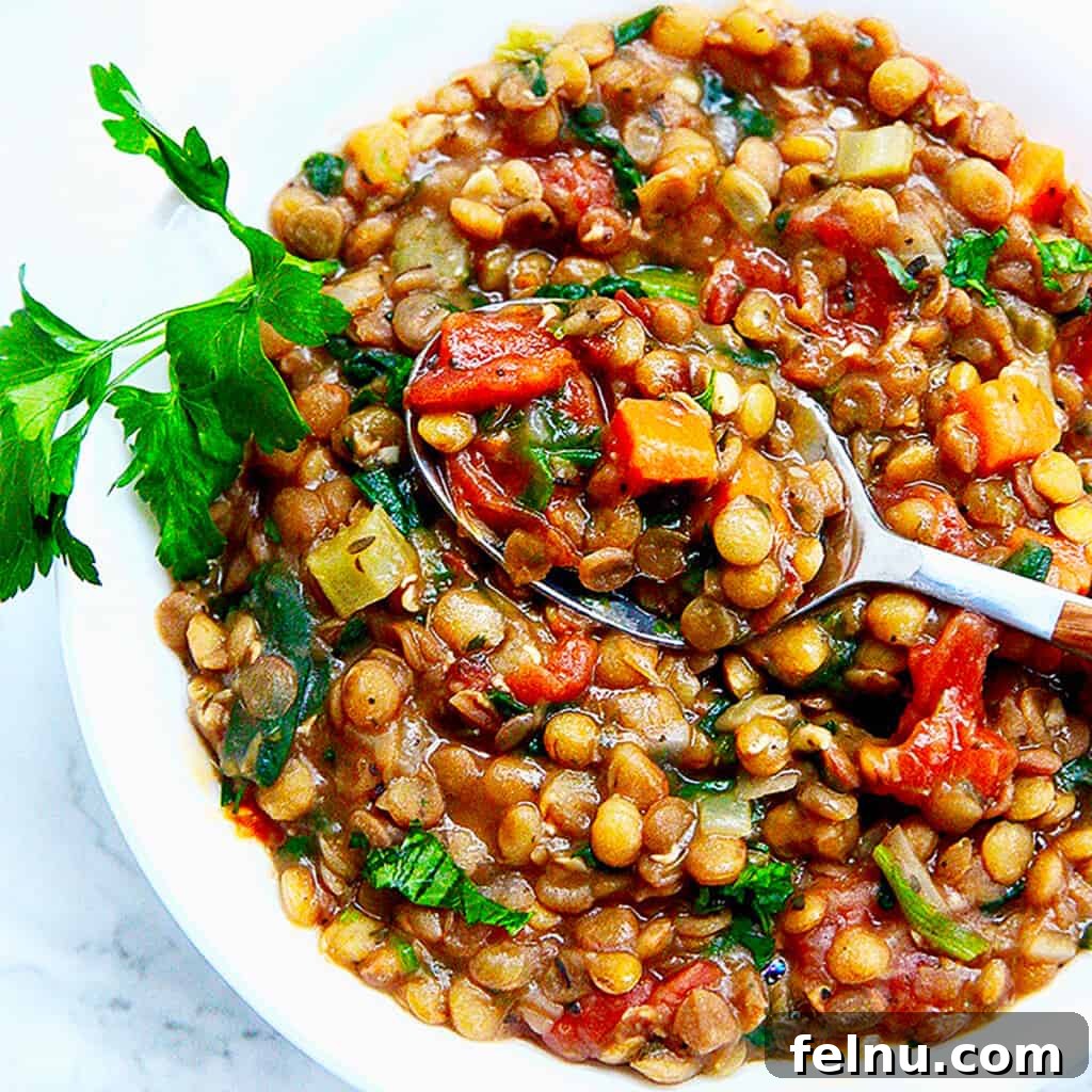 Mastering Ninja Foodi Pressure Cooker Meal Prep Cookbook 16 A warm bowl of lentil stew, a healthy and satisfying vegetarian option.