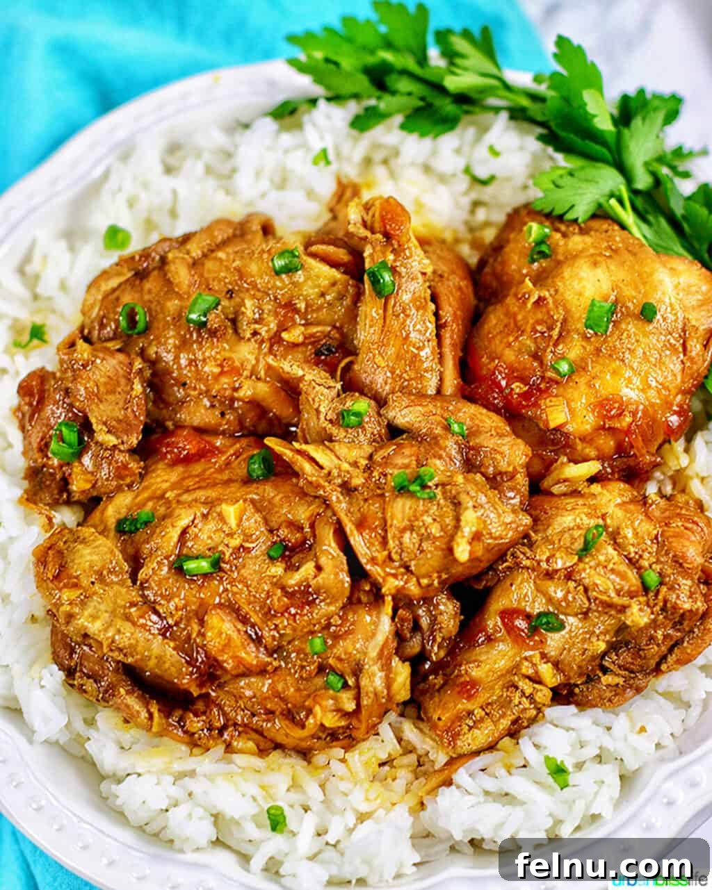 Mastering Ninja Foodi Pressure Cooker Meal Prep Cookbook 17 Filipino Chicken Adobo over rice, a classic made easy in the Instant Pot or Ninja Foodi.