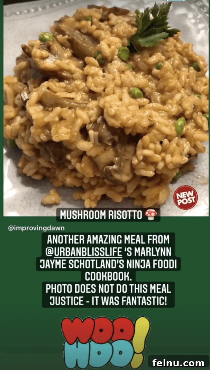 Mastering Ninja Foodi Pressure Cooker Meal Prep Cookbook 30 A visually appealing social media post by a reader showcasing a dish from the cookbook.